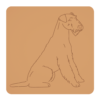 airedale terrier 1