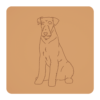 airedale terrier 3