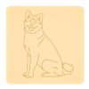 Akita inu 1
