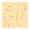 Akita inu 2