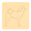 Akita inu 5