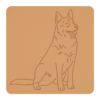 Australian cattle dog 1