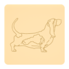 Basset 1