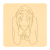 Basset 3
