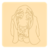 Basset 4