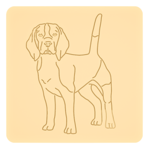 Beagle „na słodko” – foremki do ciastek