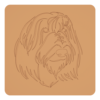 Bearded collie 3