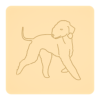 Bedlington terrier 1