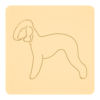 Bedlington terrier 2