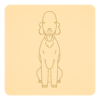 Bedlington terrier 3