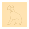 Bedlington terrier 4