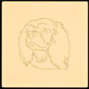Cavalier King Charles spaniel 1