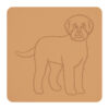 Lagotto romagnolo 1