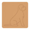 Lagotto romagnolo 4