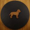 Lagotto romagnolo 6