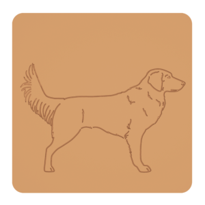 Nova Scotia duck tolling retriever „na słodko” – foremki do ciastek