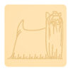 Yorkshire terrier 3