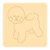 Bichon frise 2