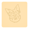 Border collie 10