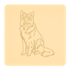 Border collie 3