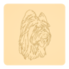 Briard 1