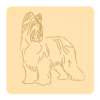 Briard 2