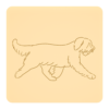 Briard 3