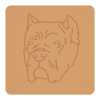 Cane corso 5