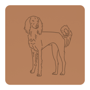 Saluki „na słodko” – foremki do ciastek