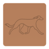 Saluki 2