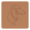 Saluki 3