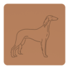 Saluki 4