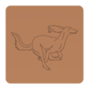 Saluki 5