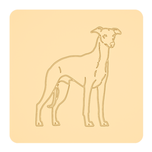 Whippet „na słodko” – foremki do ciastek