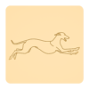 Whippet 4