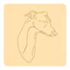 Whippet 5