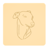 Whippet 6