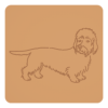 Dandie dinmont terrier 1