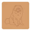 Chowchow 2