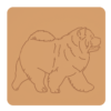 Chowchow 3