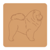 Chowchow 4
