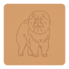 Chowchow 5