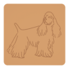 Cocker spaniel amerykański 1