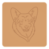 Corgi 2