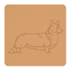 Corgi 3