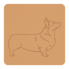 Corgi 5