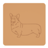 Corgi 6