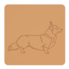 Corgi 7