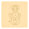 Doberman 2