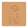 Dog kanaryjski 2